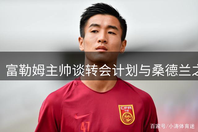 富勒姆主帅谈转会计划与桑德兰之战